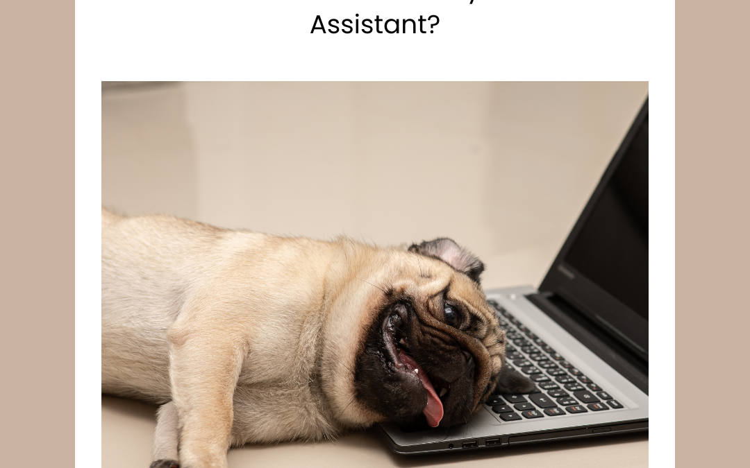 6 Important Tips to Make the Most of your Virtual Assistant